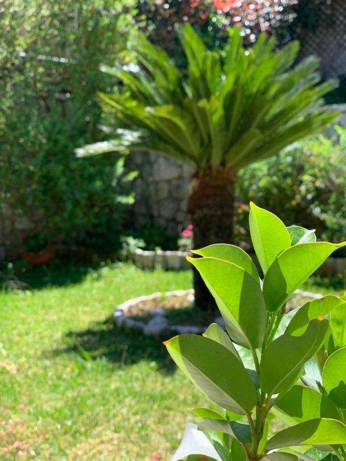 Villa Theosis Никиана Экстерьер фото